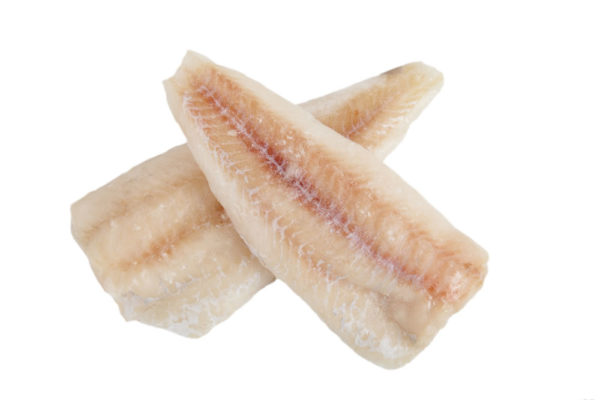 pacific whiting fish